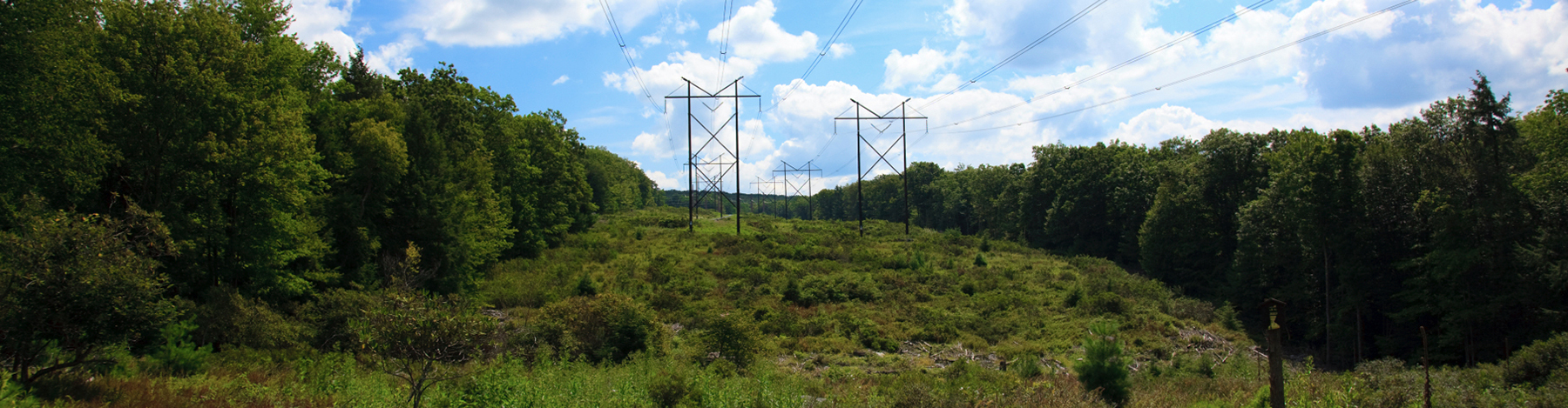 Power Line Clearing Lone Star Forestry Mulching