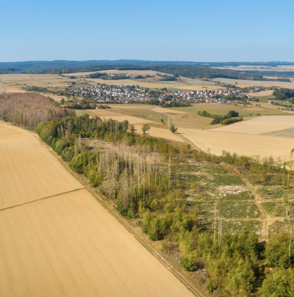 drone image of large scale site preparation