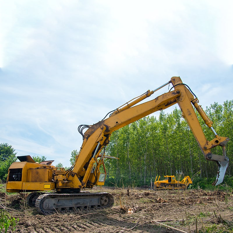 How to Clean Up After Forestry Mulching